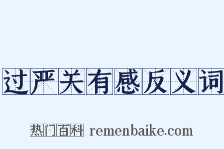 过严关有感反义词是什么意思的图片